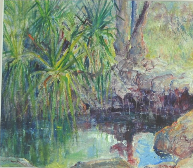 Waterhole 1 Timber Creek